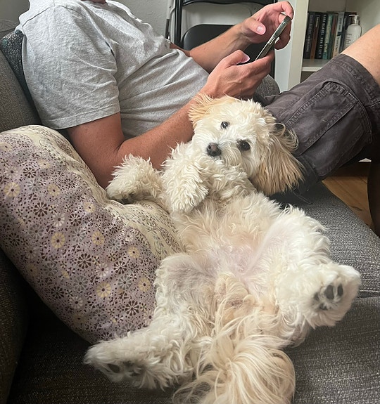 Product image 1 of 8