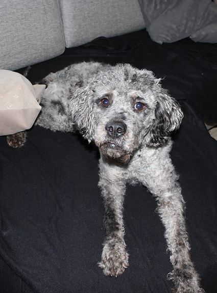 Product image 3 of 9