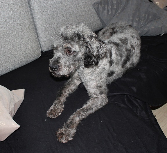 Product image 5 of 9