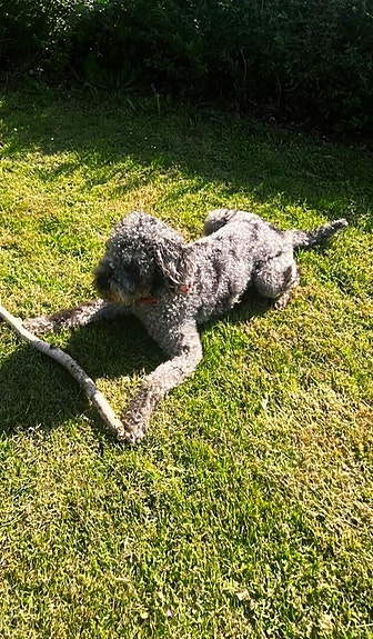 Product image 8 of 9