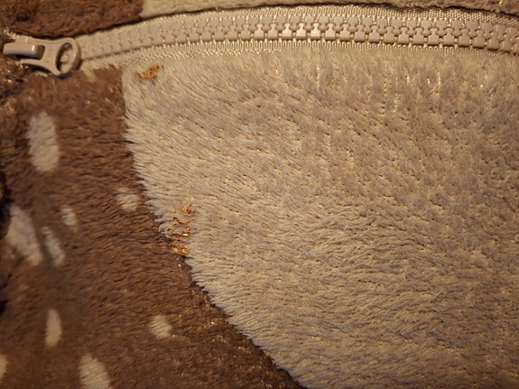 Product image 15 of 38