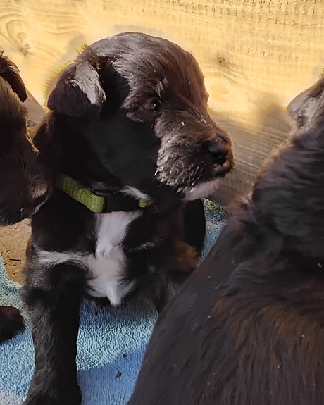 Product image 1 of 10