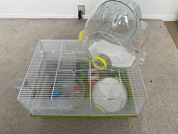 Product image 2 of 10