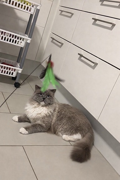 Product image 5 of 9