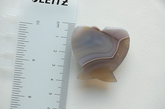 Product image 11 of 12