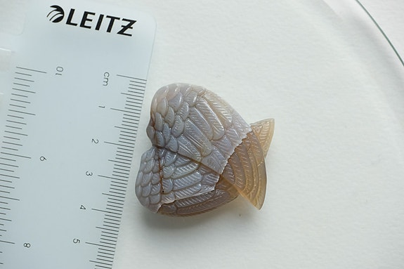 Product image 12 of 12