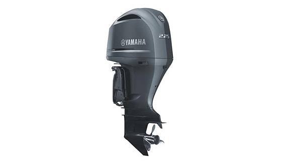 Product image 15 of 30