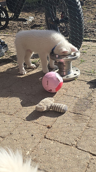 Product image 5 of 10