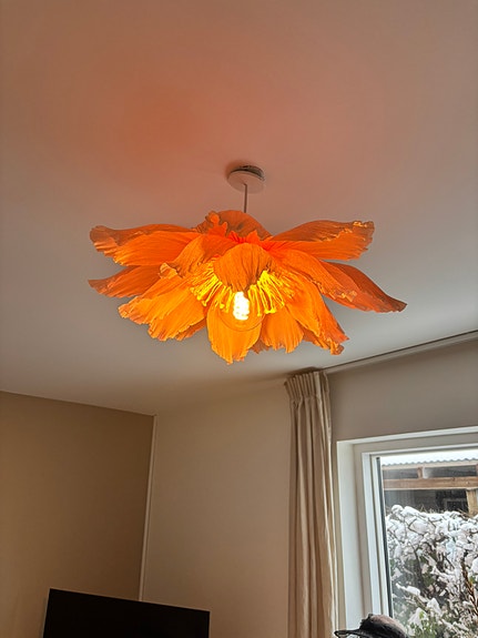 Product image 15 of 17