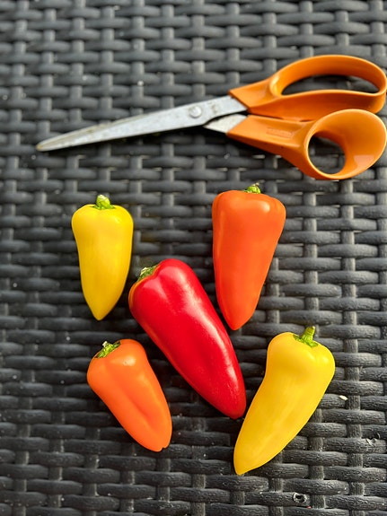 Product image 49 of 60