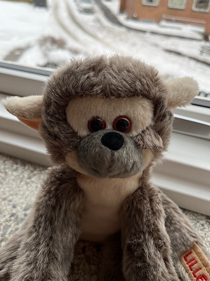 Product image 4 of 8