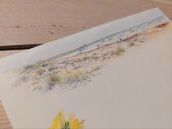 Product image 1 of 9