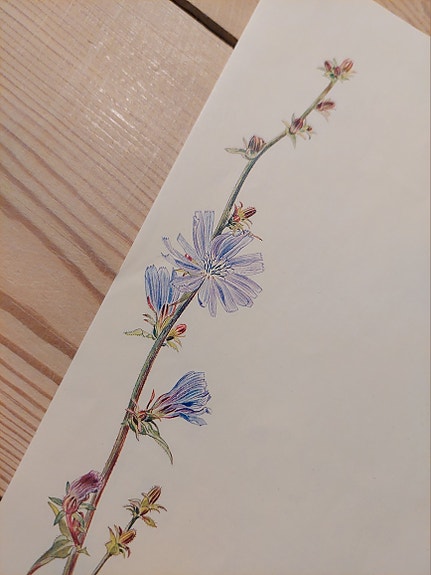 Product image 1 of 9