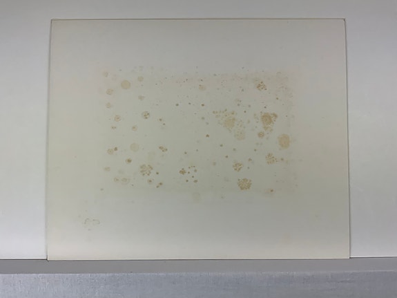 Product image 12 of 13