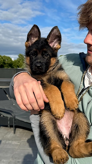 Product image 5 of 10