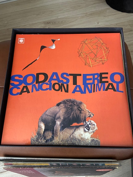 Product image 5 of 10