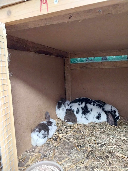 Product image 1 of 6