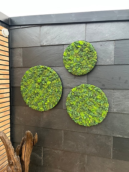 Product image 18 of 18