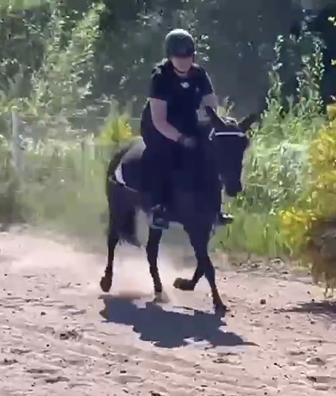 Product image 5 of 9