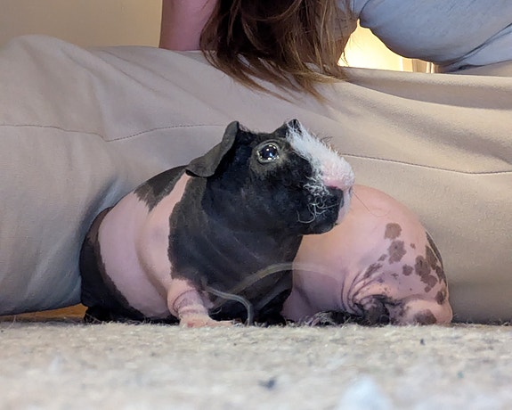 Product image 4 of 7