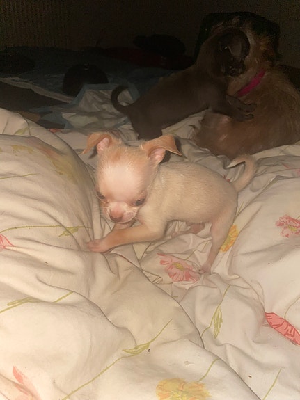 Product image 1 of 10