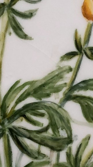 Product image 11 of 11