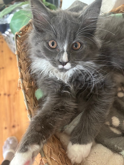 Product image 5 of 7