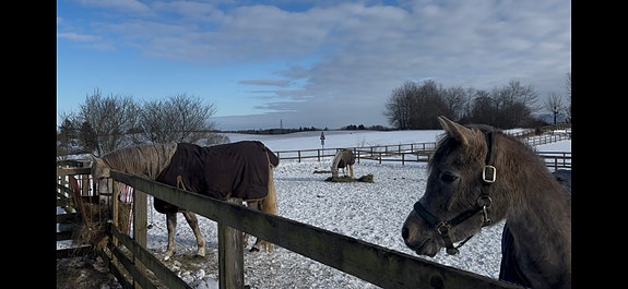 Product image 15 of 21