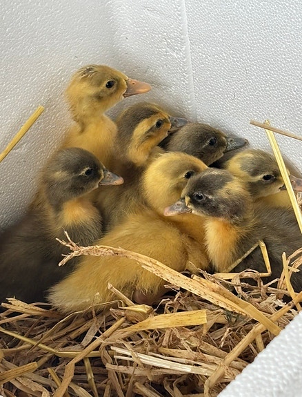 Product image 1 of 6