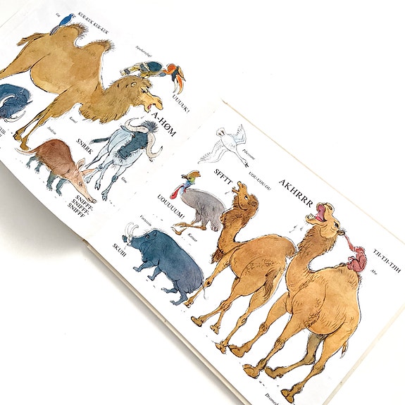 Product image 16 of 22