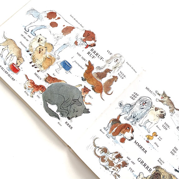 Product image 13 of 22
