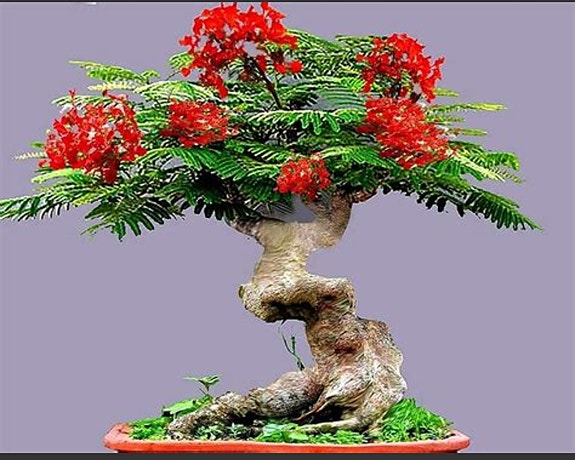 Product image 21 of 21