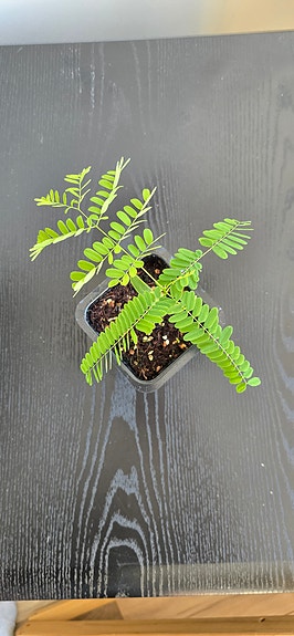 Product image 13 of 21