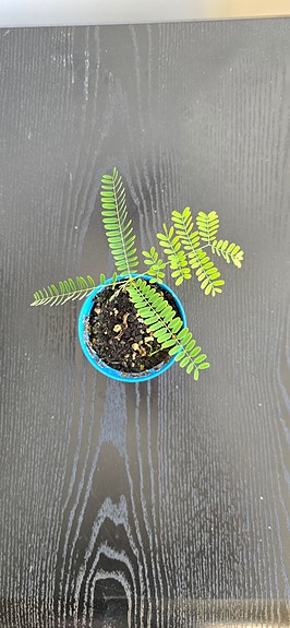 Product image 11 of 21
