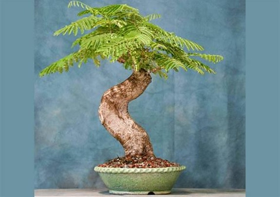 Product image 20 of 21