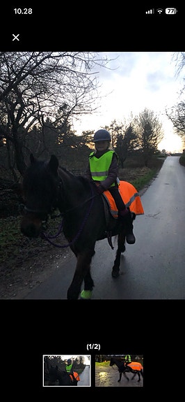 Product image 1 of 4