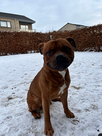 Product image 3 of 8