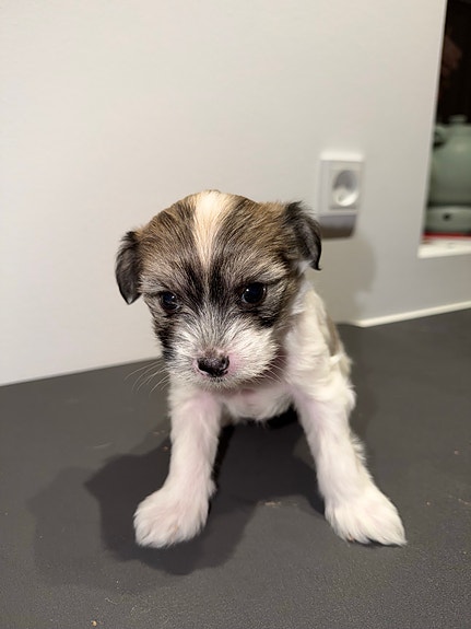 Product image 1 of 10