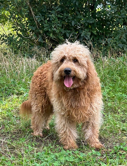 Product image 1 of 10