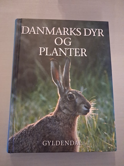 Product image 1 of 8