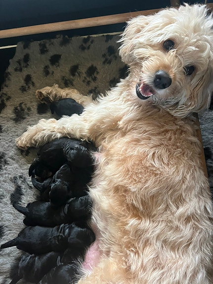 Product image 1 of 10