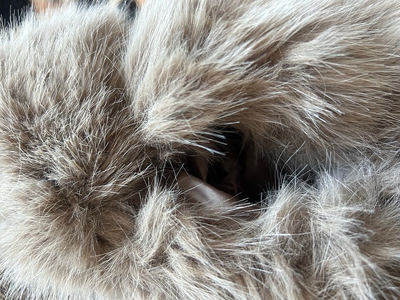 Product image 12 of 12