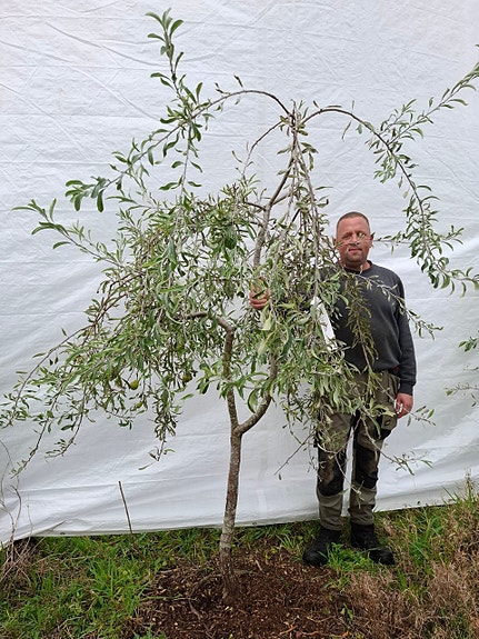 Product image 3 of 9