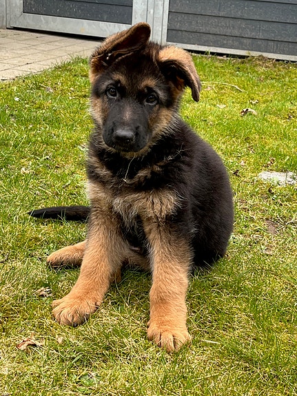 Product image 4 of 8