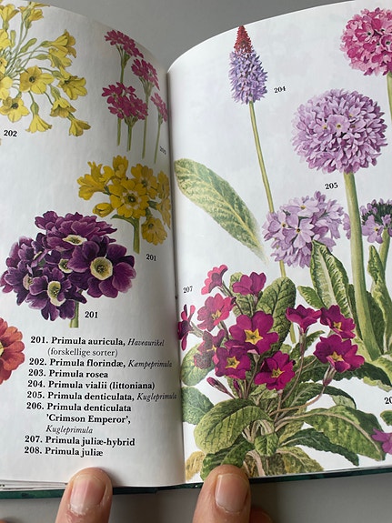 Product image 15 of 16
