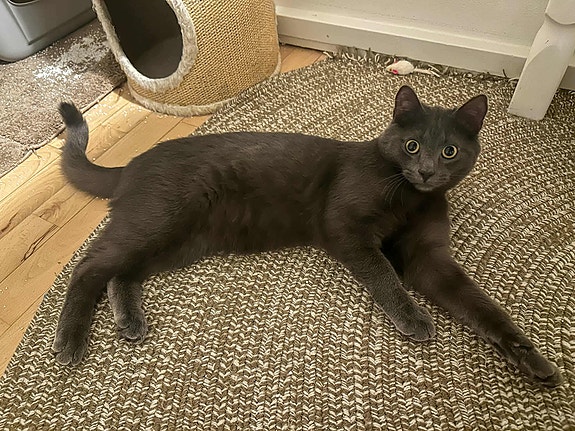 Product image 8 of 9