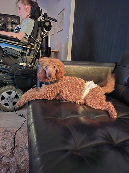 Product image 6 of 10