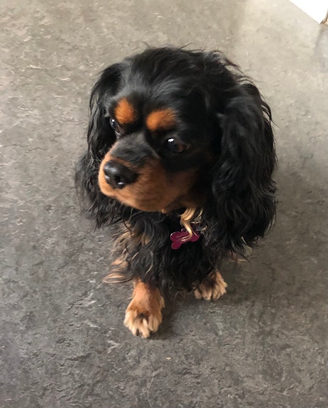 Product image 6 of 9