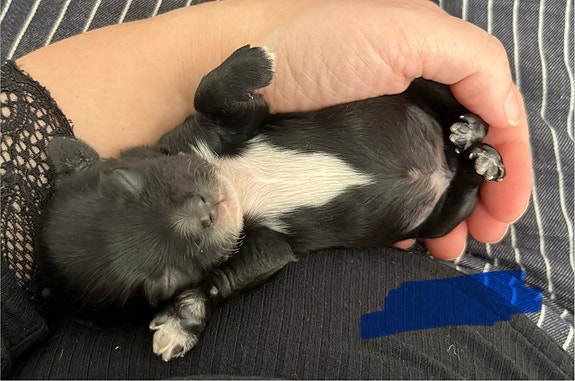 Product image 1 of 9