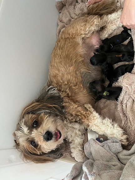 Product image 7 of 9